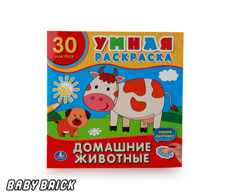 Раскраска глобусы Раскраска глобусы