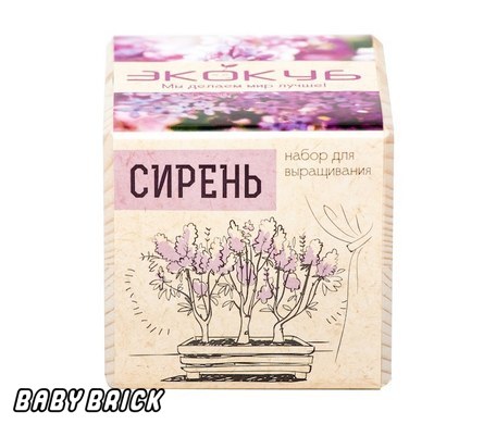 Семена Сирени Купить В Интернет Магазине