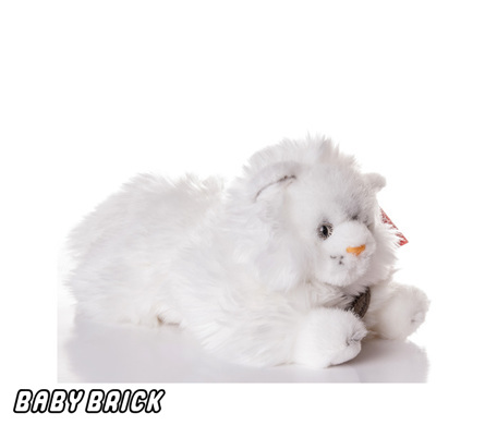 Белая Кошка Магазин